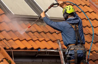 Démoussage et hydrofuge de toiture à Lect